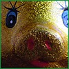 DSCF0527.JPG