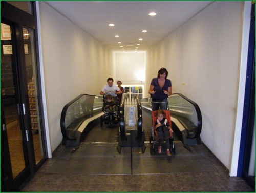 DSCF9651.JPG