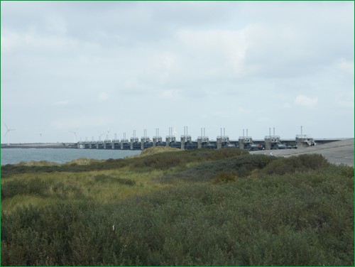 DSCF9682.JPG