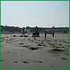 DSCF9595.JPG
